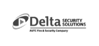Delta security