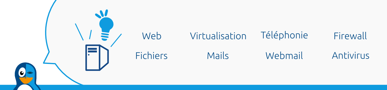 Infogérance à Lyon, votre serveur infogéré Linux