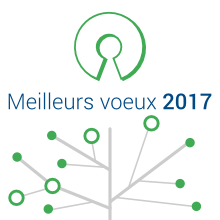 Meilleurs voeux 2017