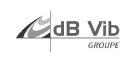 dB Vib