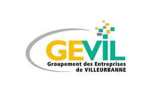 Organisation des entreprises villeurbanne