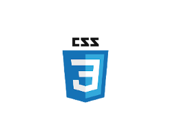 css3