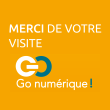 Go numérique à Lyon, infogérance, informatique, cloud