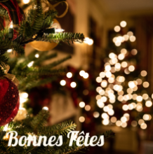 Bonnes fêtes de fin d'année